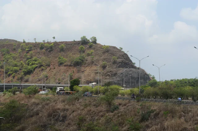 The wooded knoll above the road, traffic running along its foot below the street lights — Rudra, Karanjade
